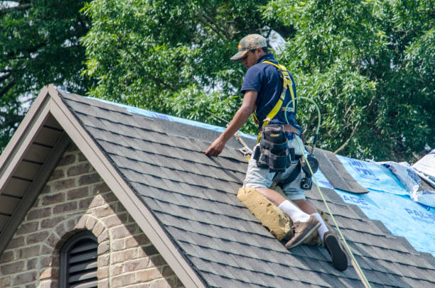 Gutter Installation and Roofing in Midfield, AL